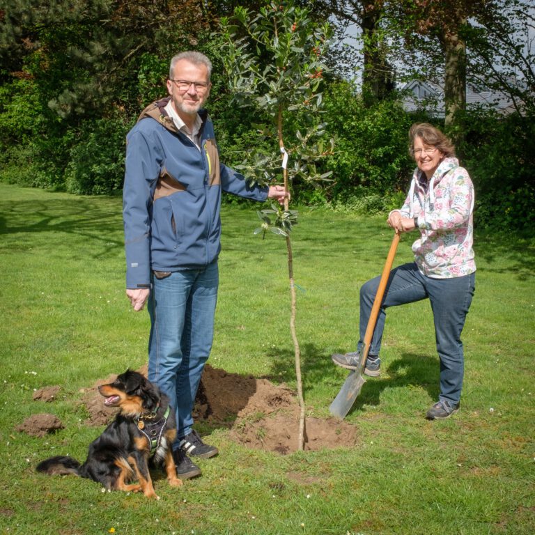 Baum des Jahres 2021 gepflanzt